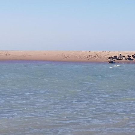 L Hyppo Camp' Bed & Breakfast Oye-Plage Екстериор снимка
