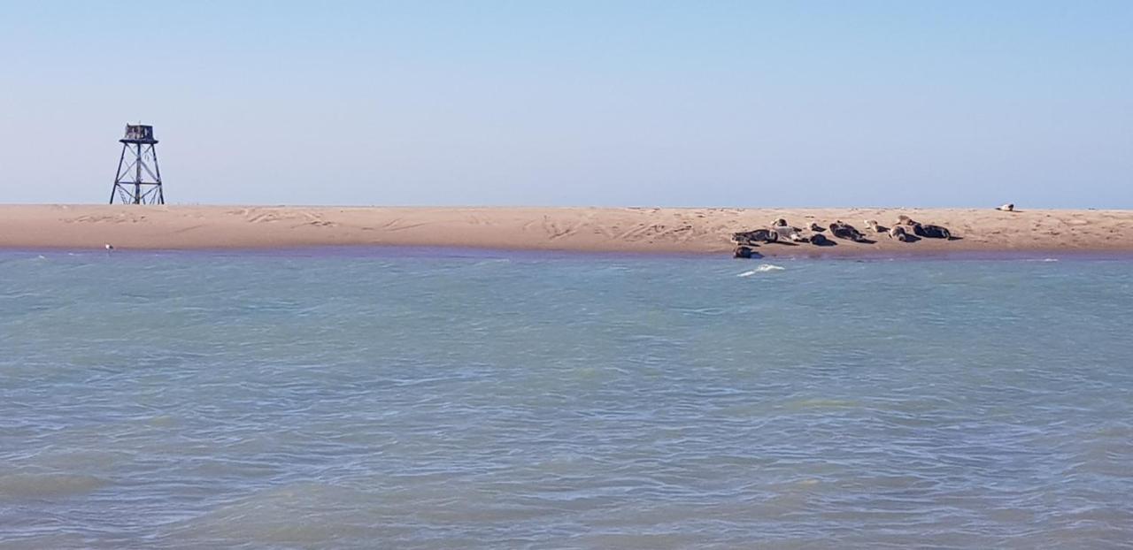 L Hyppo Camp' Bed & Breakfast Oye-Plage Екстериор снимка