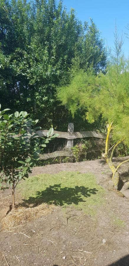 L Hyppo Camp' Bed & Breakfast Oye-Plage Екстериор снимка